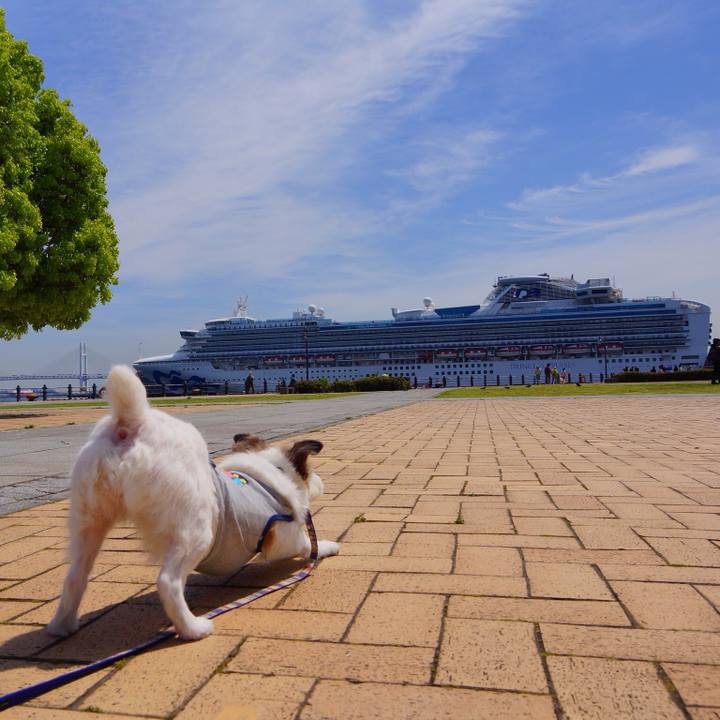 669da222 bac3 41d0 92dc c7c1812ce4ba