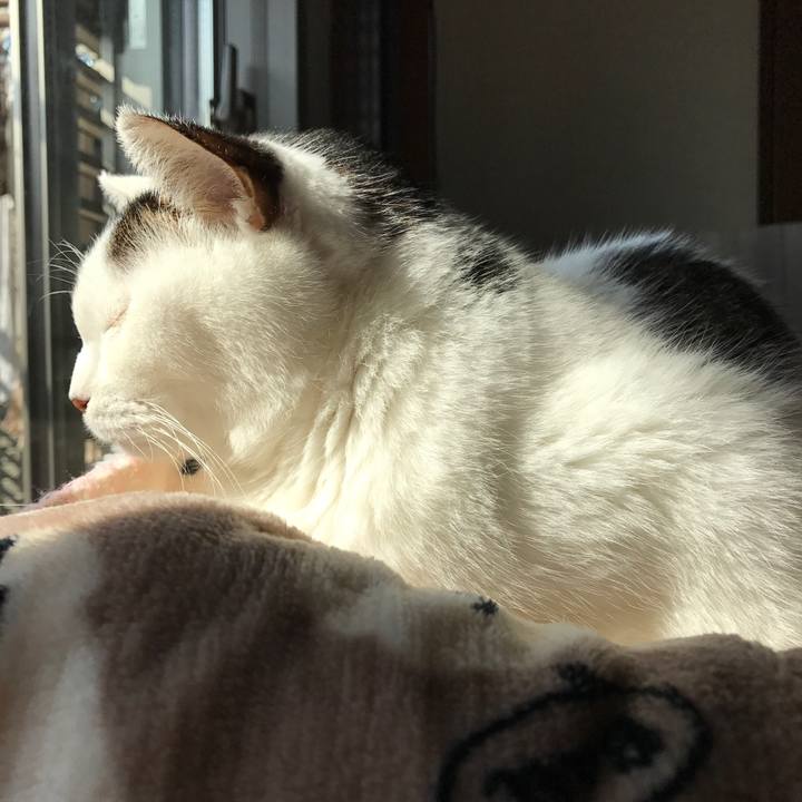 669e0a5b d708 4c0e 8b61 6b5b12e2271d