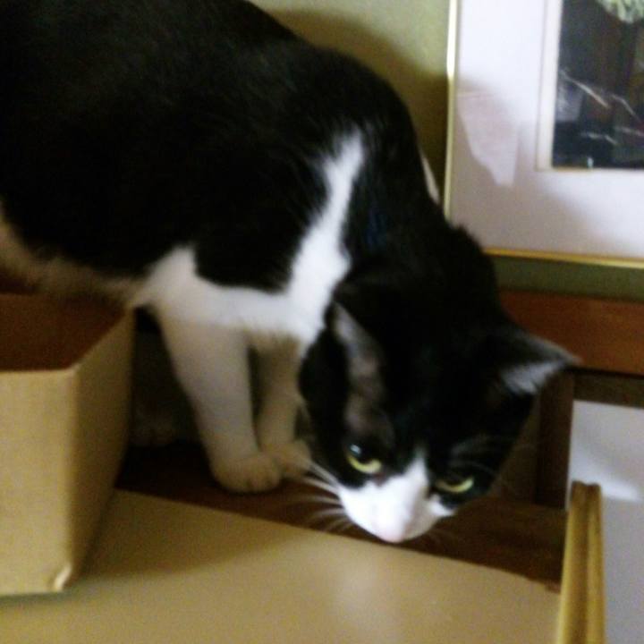 669e225e e8f1 4137 b76a cb6ea5a53897