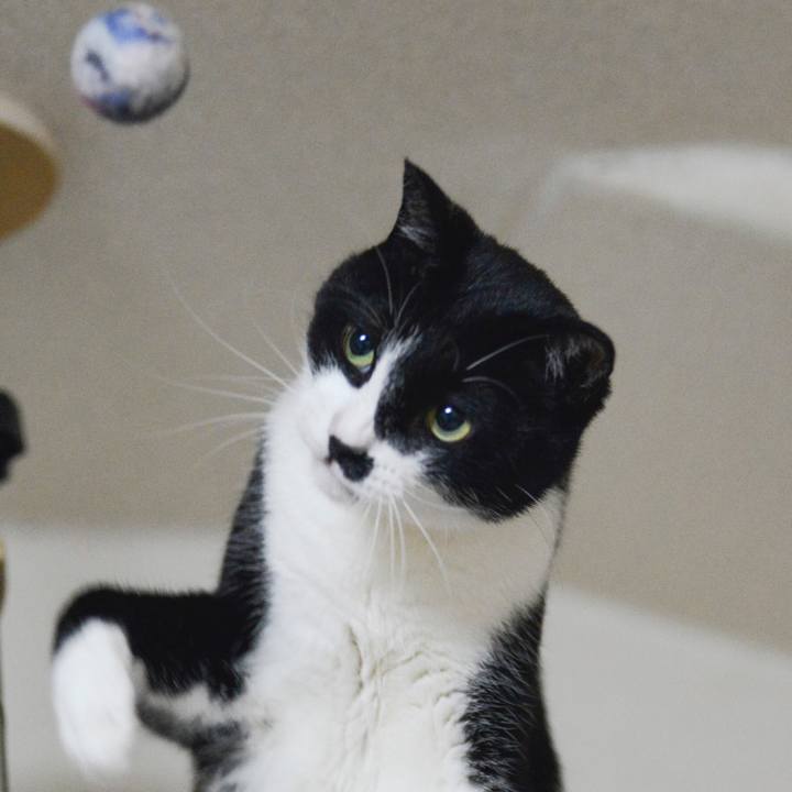 669e7e65 d499 461b 8de3 4e951f58883c