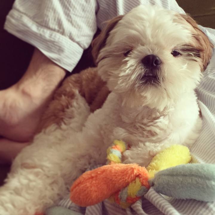 669ee30f 3e08 42a3 909e a74a0c32ec9f