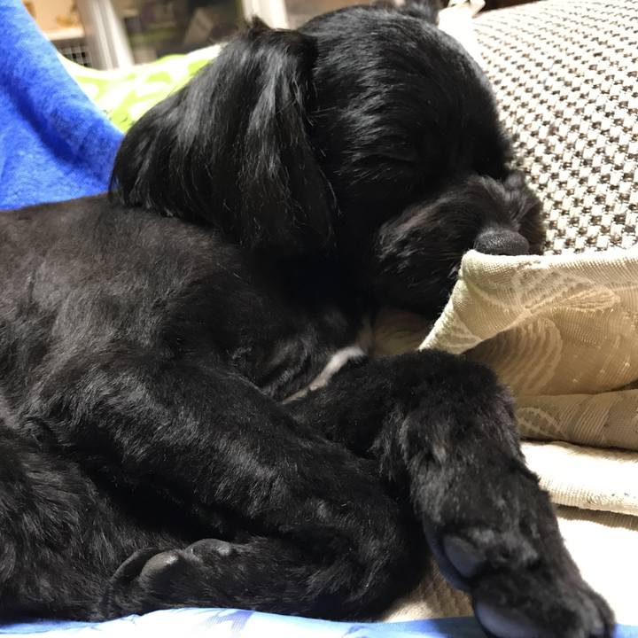 66a0aa37 8c96 43a4 9a4f 60ad0efabda3