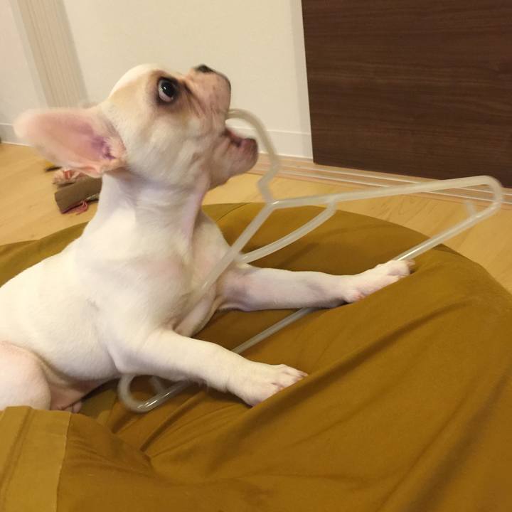 66a0c95a 58df 4043 9713 4b5b8deb88ab