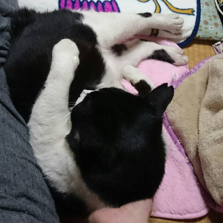 66a0cc75 3824 40aa b041 77cc512e51e9