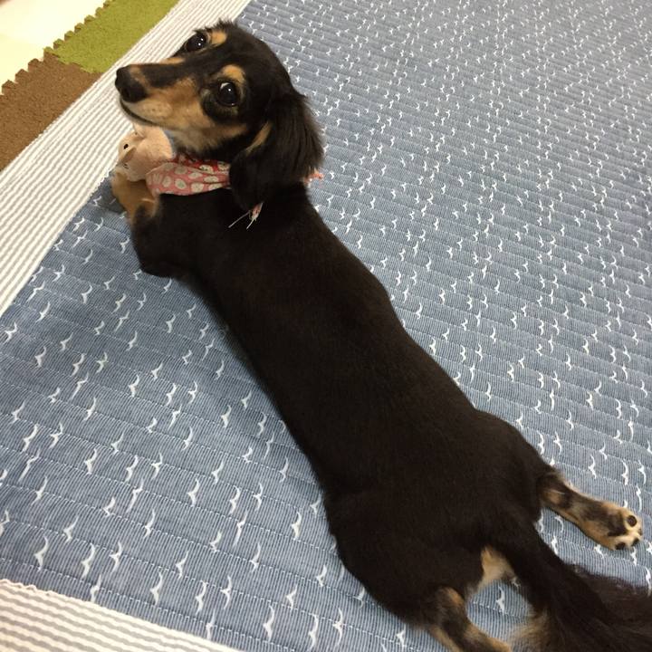 66a115c0 9734 4127 8f20 c61fa4d1cd1a