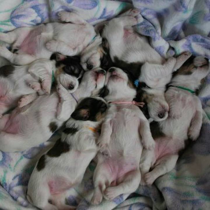 66a177c5 c889 4798 8b4c 5f83c833110c