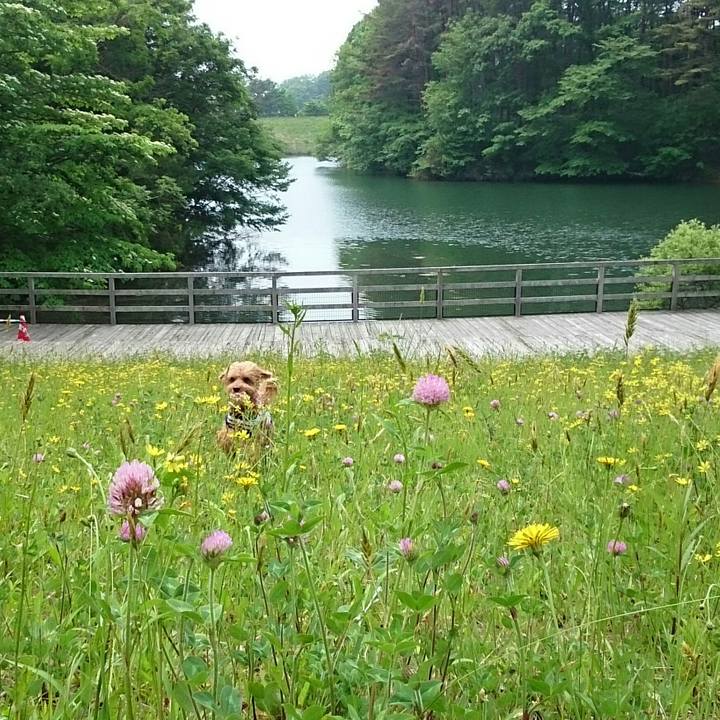 66a18137 9794 4657 9057 442dadc25a84