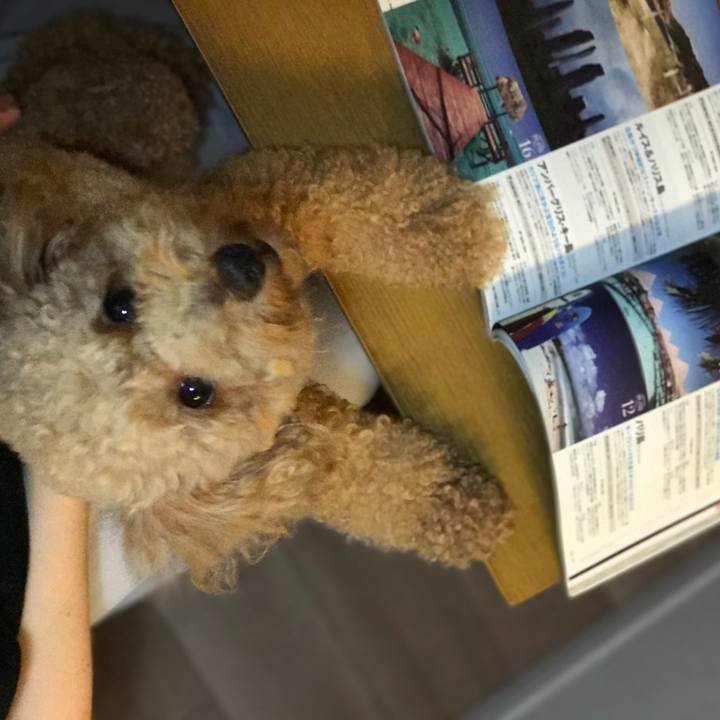 66a1b03b d153 4c87 98d1 7d51fce94dbf