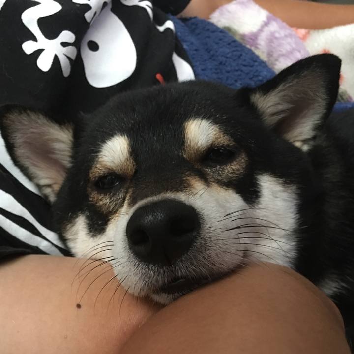 66a1bc84 010a 4697 be7c 22c4e1da5620