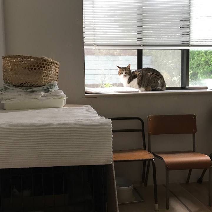 66a23b34 37d8 482f b762 45a4aaf1be85