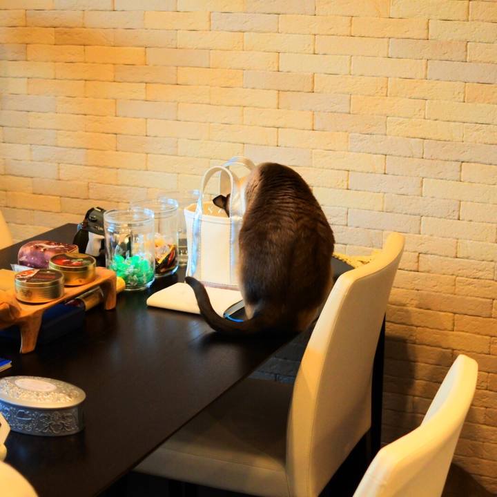 66a39385 83dd 46af 897b c7e28ade4d27