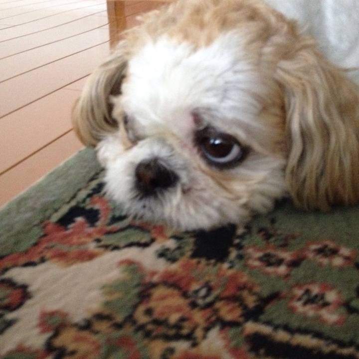 66a41fcd 59f4 47e5 9eb1 8c72b1aff674