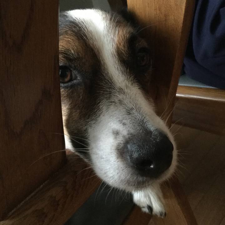 66a54d73 9e78 4c0d a563 d622a89deb5a