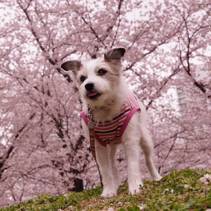 66a56ff6 368e 4caf a209 a75dda1ff0bd