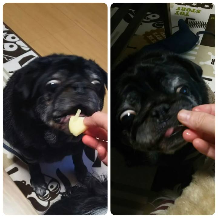 66a633b7 8ab5 412b 975b 4b86f1b7cf4d