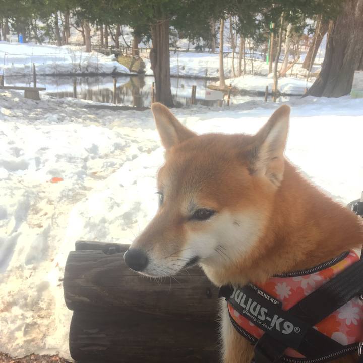 66a65b7d ad7e 4c43 9ea7 08349f430abd