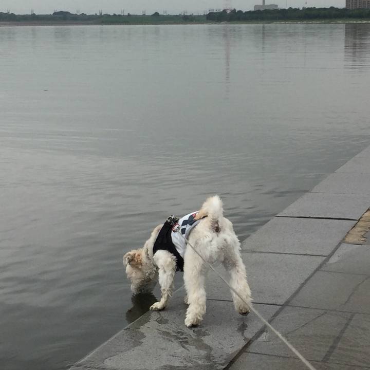 66a6874c 386b 4108 8148 2ef847aa4211