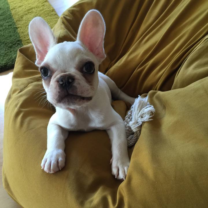 66a6905d 7b04 433a a672 fd86fe7c0867