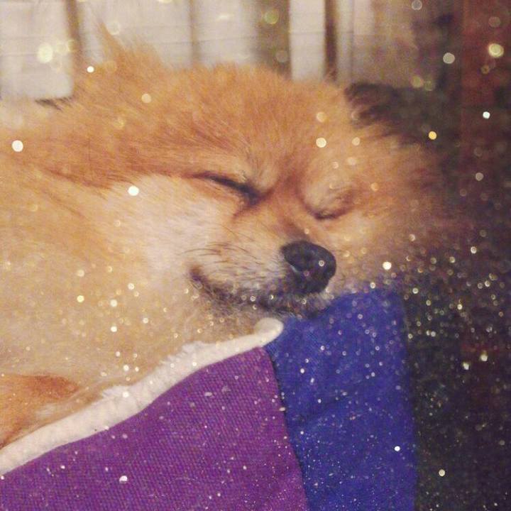 66a6b424 fe59 434b a784 82f3838de339