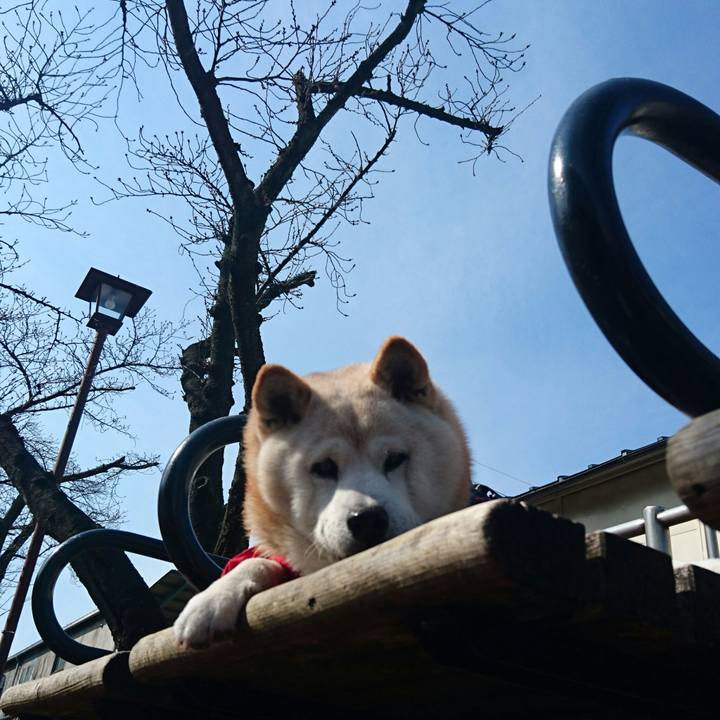 66a7362c b3b1 4cc9 bf19 4c252b647f2c