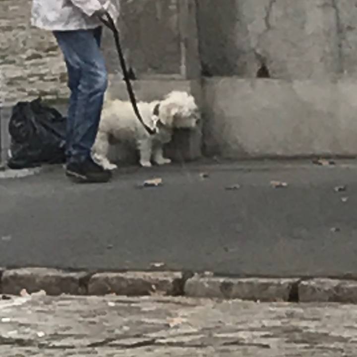 66a73809 164c 4de4 8f0f 45a90f6334a6