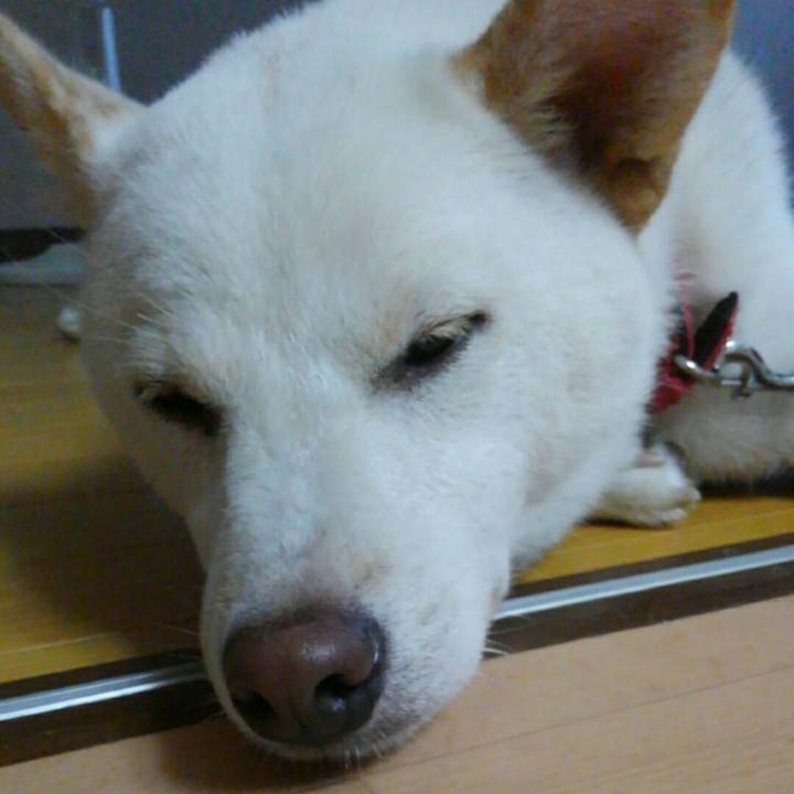 66a751ec 4760 4b90 9d68 5afb2e146bf2