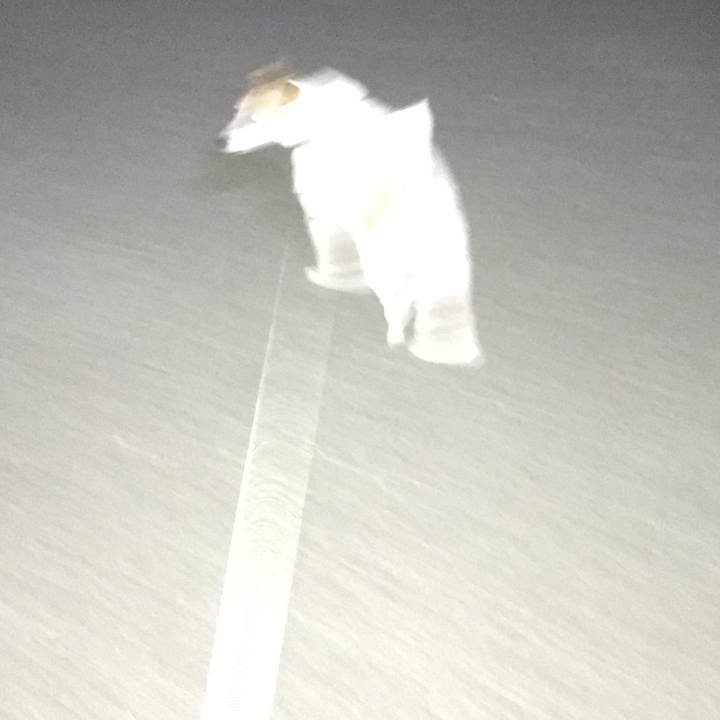 66a7aa51 c61a 4b8b b6d0 a9ac3bc0fc93