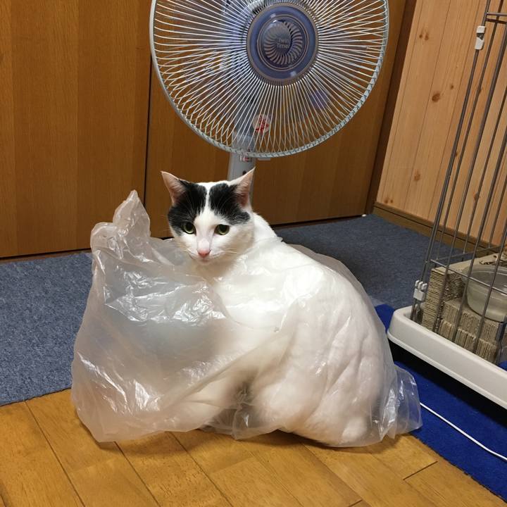 66a7ae56 ca5e 4bfa b8b5 4edd061cc381