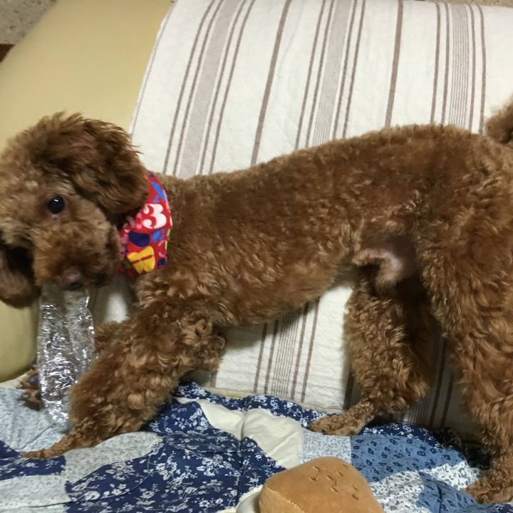 66a7e431 e6cf 4953 8daa 69aa106fdaca