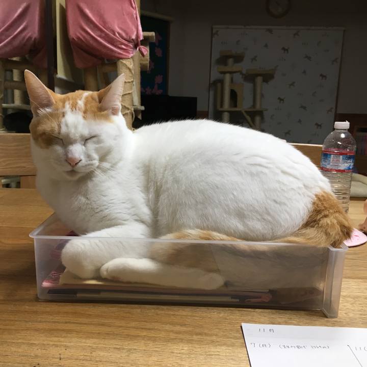 66a7f57b 6c13 41be a168 5d899d6bb51a