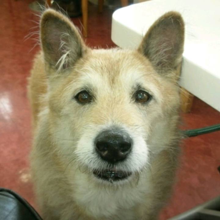 66a82f0e 018f 4344 ae81 44b1e91f1b27