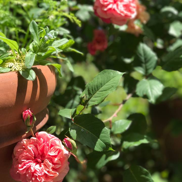 66a8960d b26a 4ae9 9925 7c4f7850f504