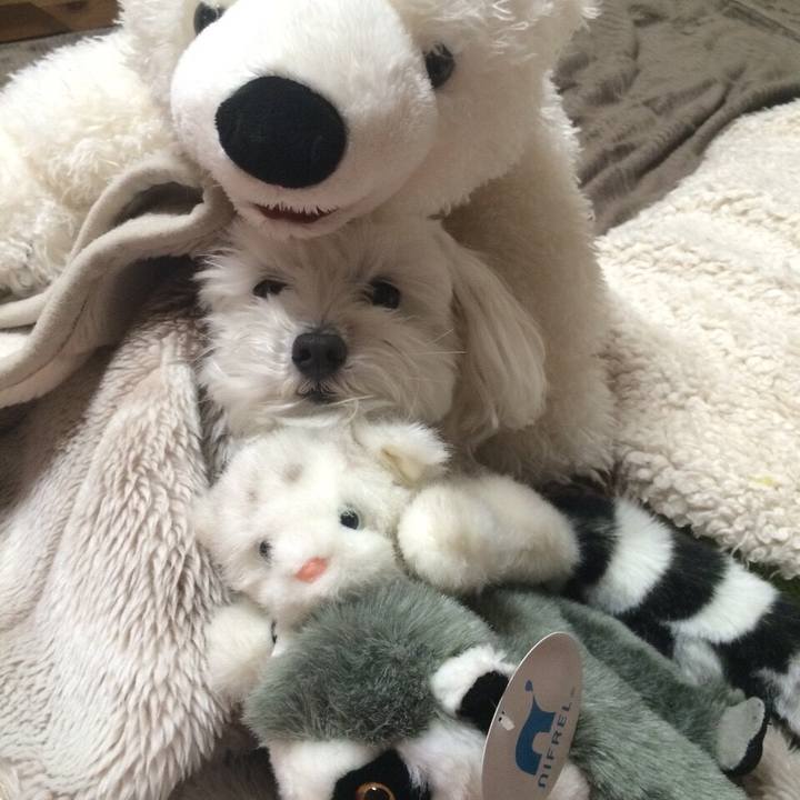 66a93429 d638 4d78 ac63 6cefebc1b865