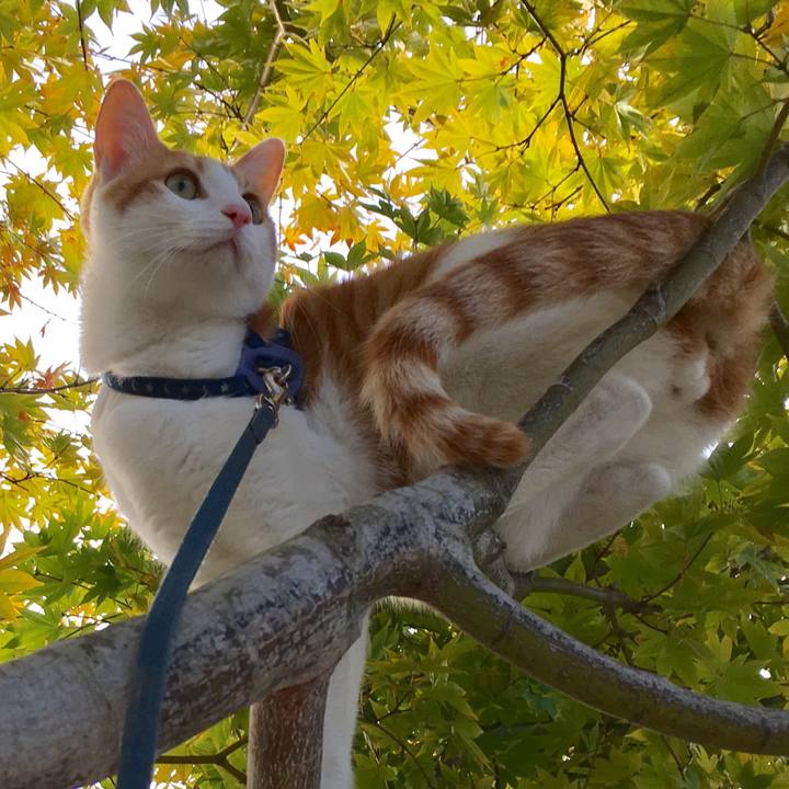 66a9ce2d 16b0 47b5 9284 aecfe30f9c60