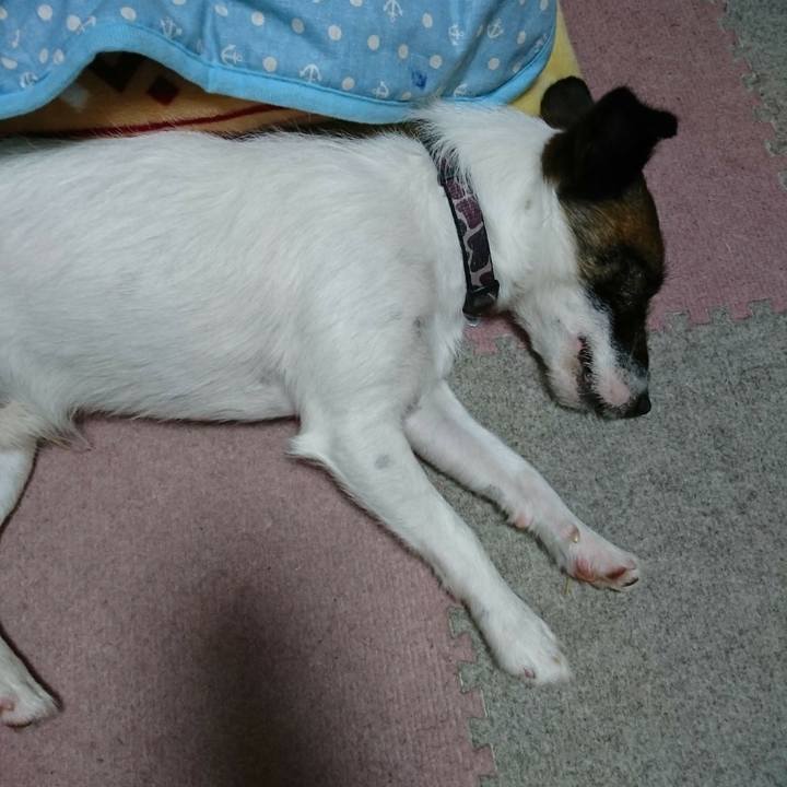 66a9d349 f9ba 4cce 8bfe b557a3736aa2