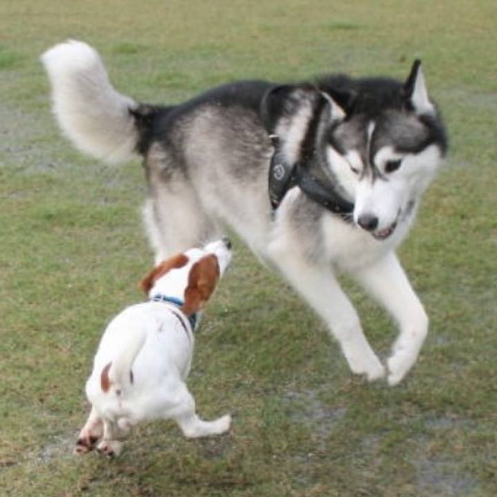 66aa01ac b30e 4d20 b47c 4bb8390df76b