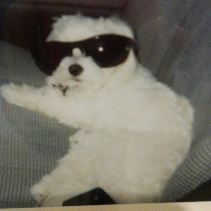 66aa5734 7c03 4359 835c 57b8de9221cd