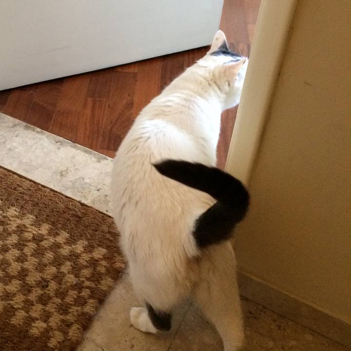 66ab77e0 76f3 44cc 8f34 ace6e7c222f5