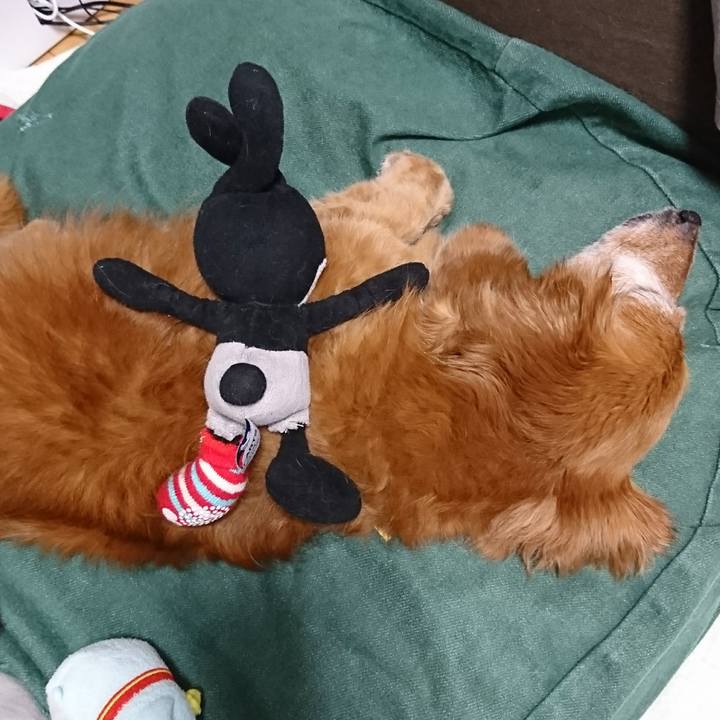 66abad6d 6adc 47ef 92ff 893c5fb31e36