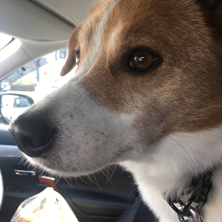 66abd800 7e40 4895 aeb7 714f013326f3