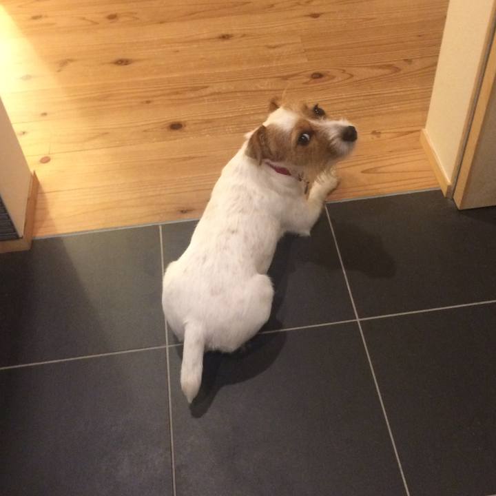 66abe6ce f14c 4d61 9d5f c7d9444ec973