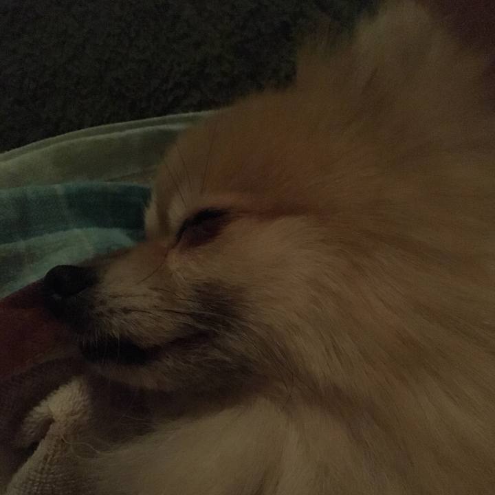 66ad0e20 ab16 4984 83ea c632b65841b8