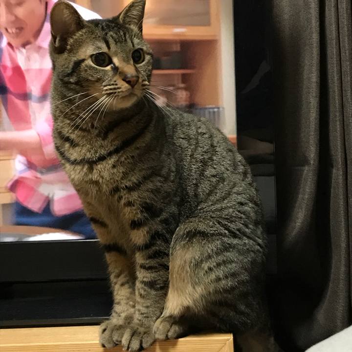 66ae6276 06b6 4c44 96a6 7d7c10714885