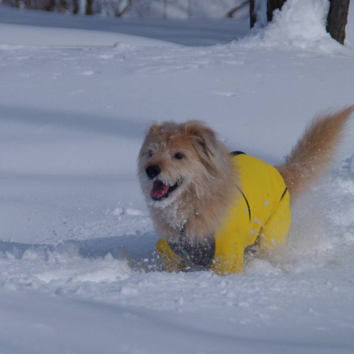 66ae9cb7 793f 4867 b7bf b5c7e9a0c9fd