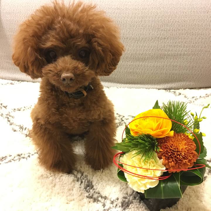 66aed273 7755 4565 846d a24debabc25e