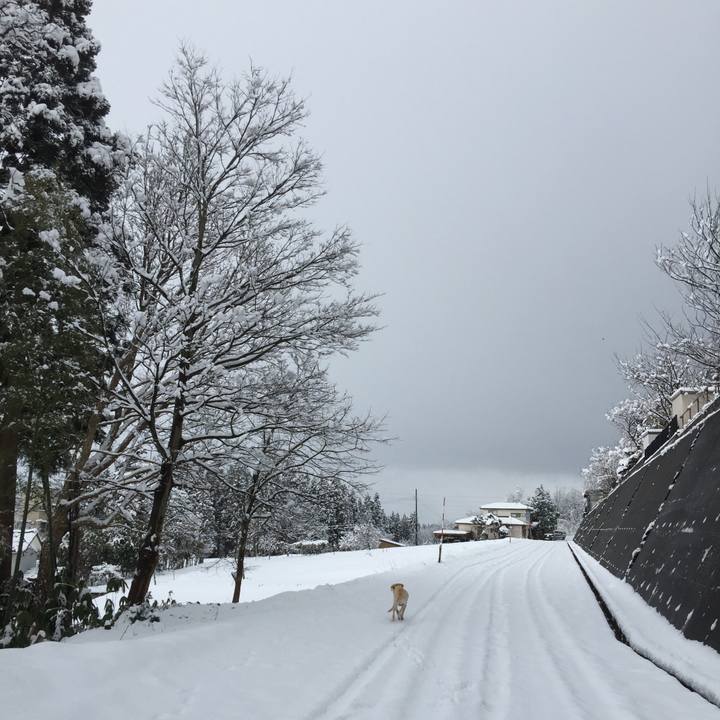 66aee411 d9c0 4b48 8a8d 3871fd22c786