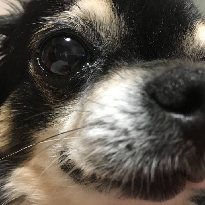 66af20c0 4b72 4929 9110 d6aed368317e