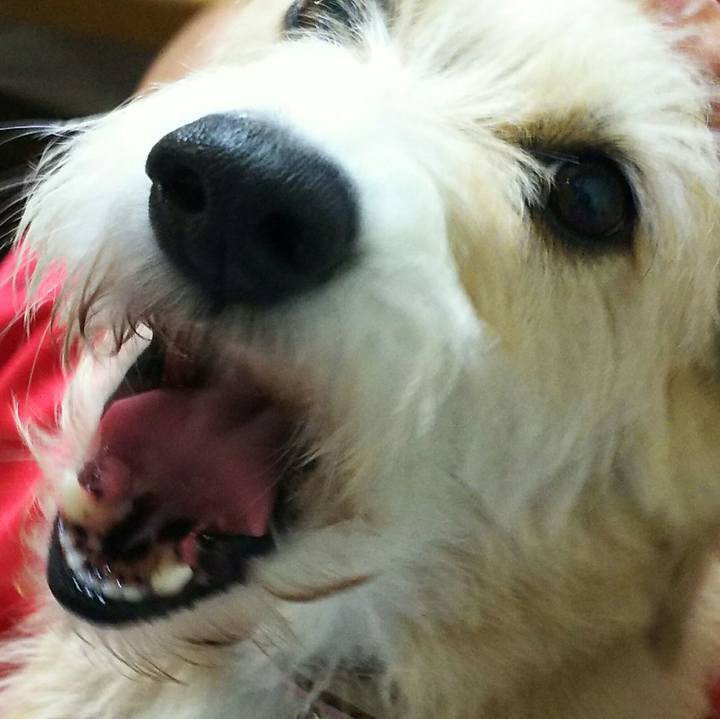 66af44fb 98fc 48dd 95f9 984cf052b261