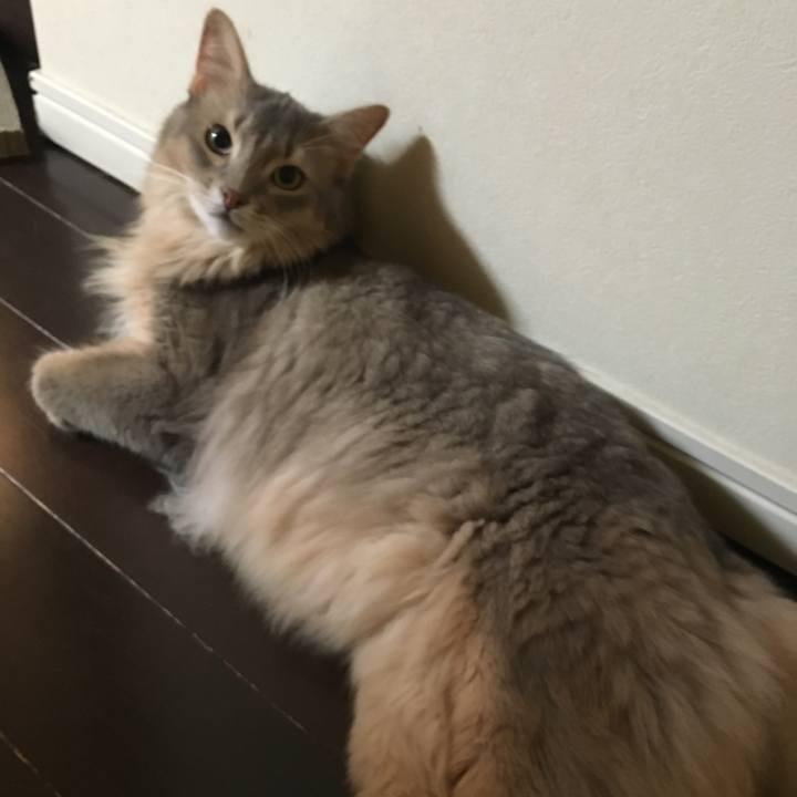 66af7029 5d57 4276 9436 44455762bf91