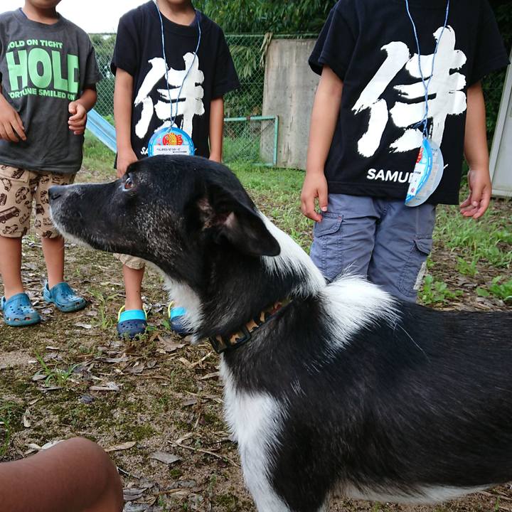 66b06e09 8bbc 44d1 accd 76cf8793e786